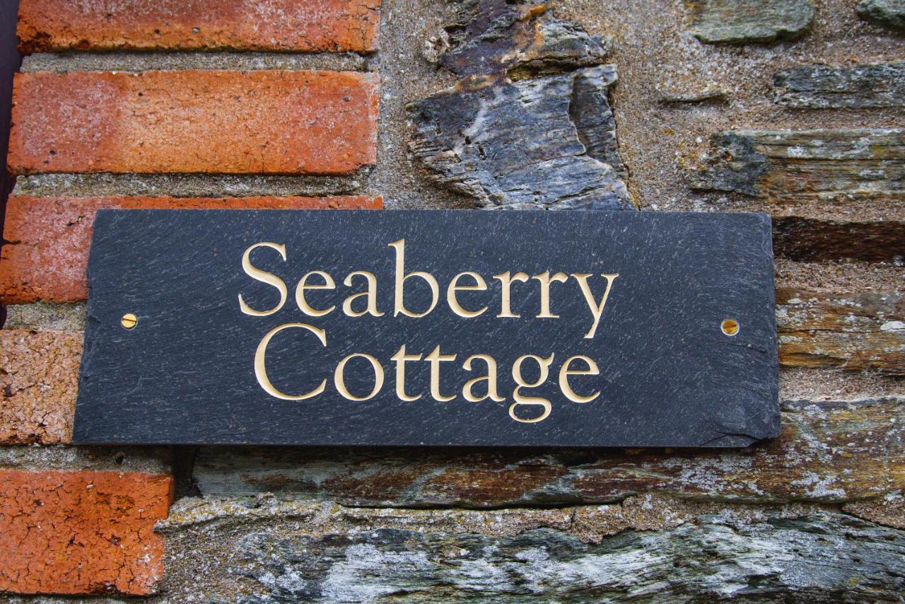 Polrunny Farm Seaberry Cottage With A Sea View And Log Burner Боскасл Екстер'єр фото